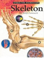 UNDER THE MICROSCOPE SKELETON OUR BODY'S FRAMEWORK 2
